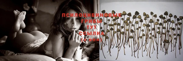 каннабис Волоколамск