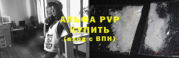 тгк Володарск