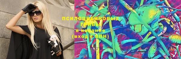 тгк Володарск
