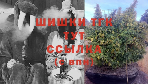 тгк Володарск